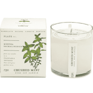Crushed Mint Candle