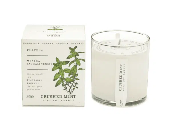 Crushed Mint Candle